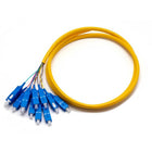 Iuron Fiber Pigtail 12 Core SC/UPC Connector (1 meter)
