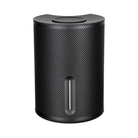 Vssl SXSPKR single zone, 50W, w/Chromecast, Alexa Cast, Airplay, Spotify Connect - works w/Google Assist